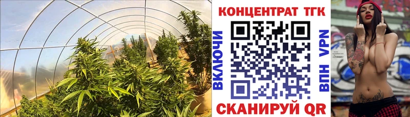 закладки  Мостовской  ТГК вейп с тгк 