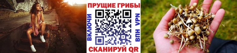 Галлюциногенные грибы мухоморы  наркота  Мостовской 